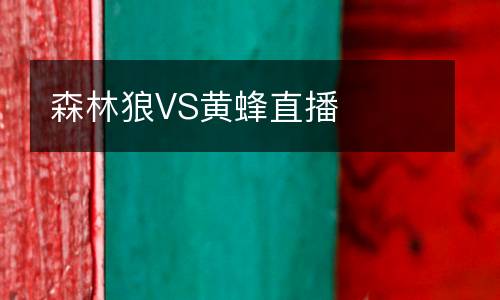 森林狼VS黃蜂直播